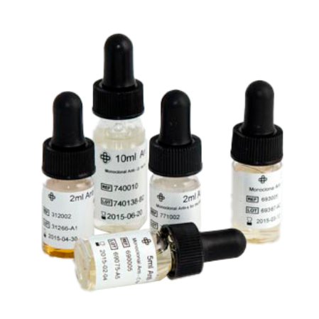 Suero Anti A1 Lectin - 1 frasco - Lorne