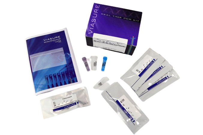 Prueba Viasure para la detección de Salmonella, Campylobacter & Shigella por PCR Tiempo Real (LP) - Kit en tira para 96 pruebas - CerTest