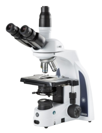 Microscopio trinocular iScope con oculares EWF 10x/22 mm, objetivos PLi plan 4/10/S40/S100x oil IOS, platina sin bastidor e iluminación NeoLED™ Köhler de 3 W - Euromex