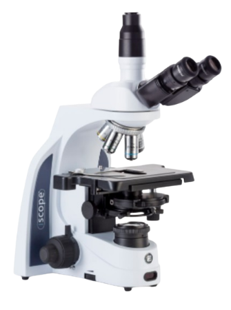 Microscopio trinocular iScope con oculares EWF de 10x/22 mm, objetivos de fase plana PLPHi 10/20/S40/S100x oil IOS, condensador de disco de contraste de fase Zernike con tope de campo, platina sin bastidor e iluminación Köhler 3W NeoLED™ - Euromex