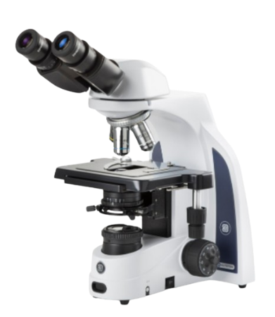 Microscopio binocular iScope con oculares EWF 10x/22 mm, objetivos plan PLi 4/10/S40/S100x oil IOS, platina sin bastidor e iluminación NeoLED™ Köhler de 3W - Euromex